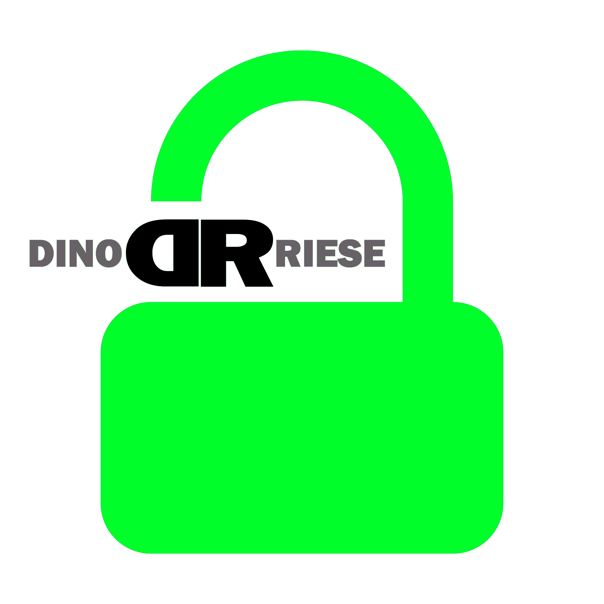 SSL Certificate Provider image | Astoria, NY DinoRiese.com